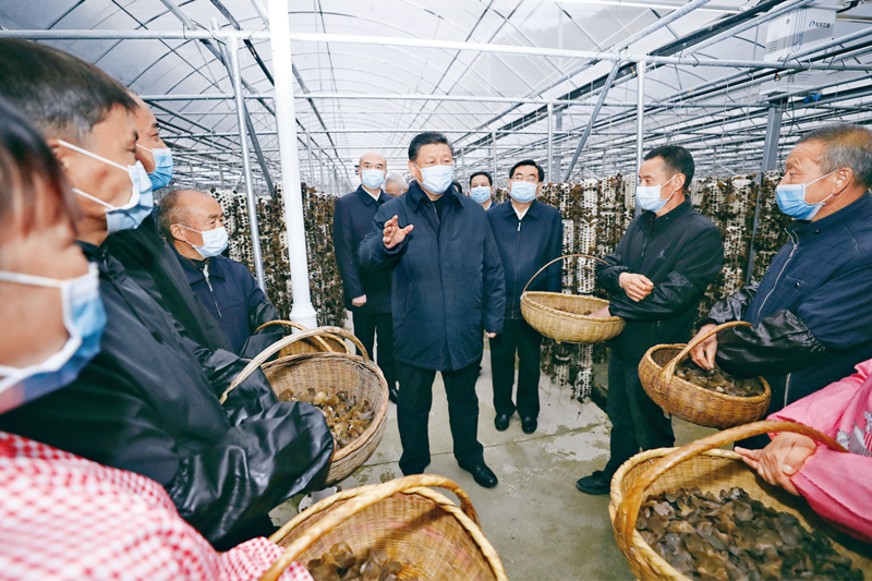 2020年4月20日至23日,中共中央总书记、国家主席、中央军委主席习近平在陕西考察。这是4月20日,习近平在商洛市柞水县小岭镇金米村智能联栋木耳大棚,同村民亲切交流。 新华社记者 鞠鹏/摄